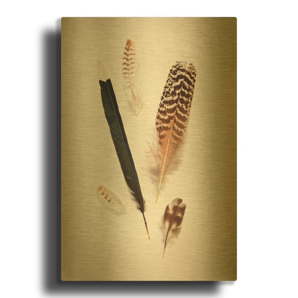 'Feather Group II' By Debra Van Swearingen Gold Metal Wall Art