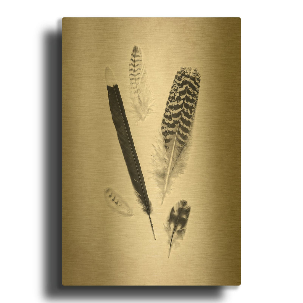 'Feather Group II B&W' By Debra Van Swearingen Gold Metal Wall Art