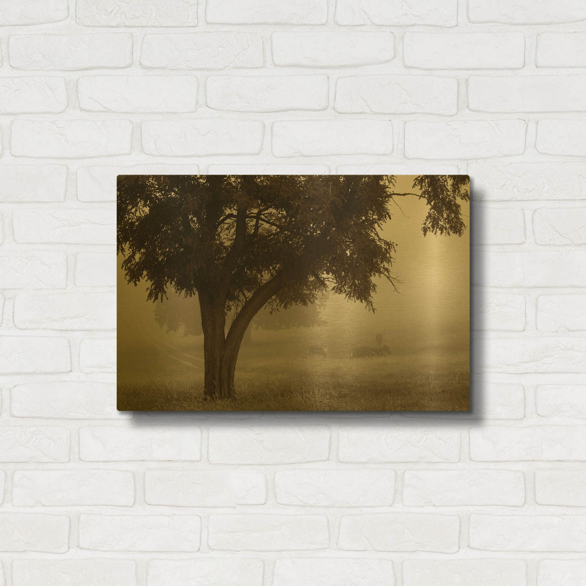 'Calm Mist' By Debra Van Swearingen Gold Metal Wall Art