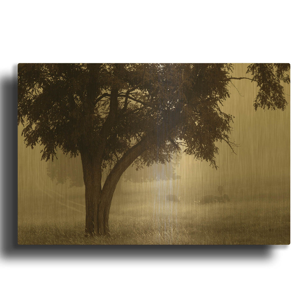 'Calm Mist' By Debra Van Swearingen Gold Metal Wall Art