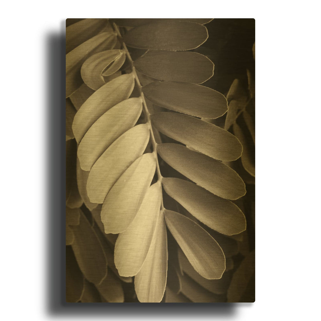 'Tropical Plant I' By Debra Van Swearingen Gold Metal Wall Art