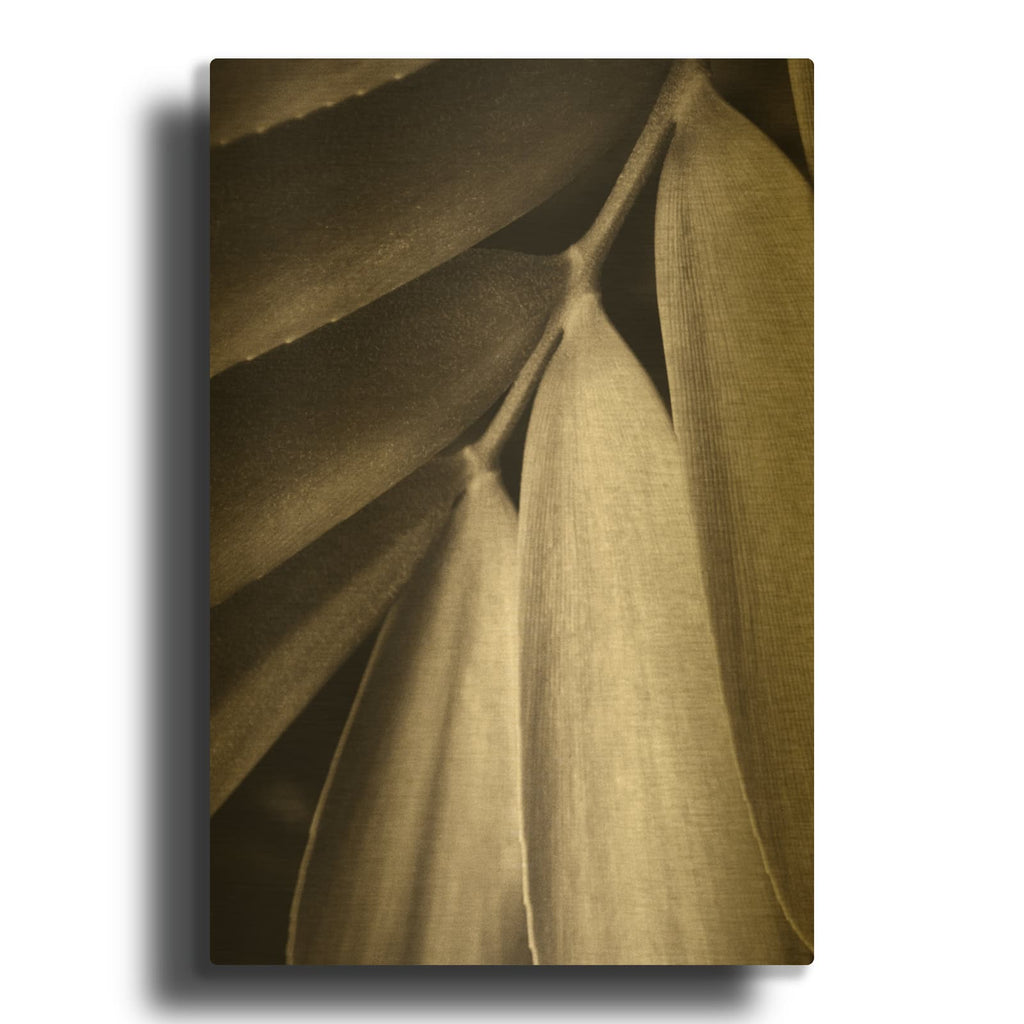 'Tropical Plant II' By Debra Van Swearingen Gold Metal Wall Art