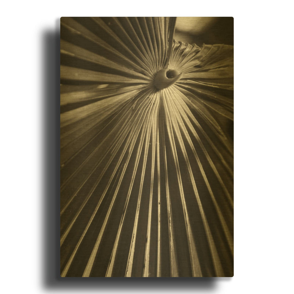 'Palm Frond 1' By Debra Van Swearingen Gold Metal Wall Art