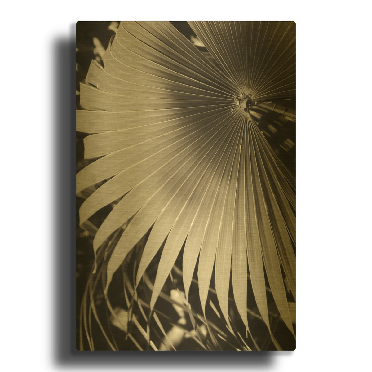 'Palm Frond 2' By Debra Van Swearingen Gold Metal Wall Art