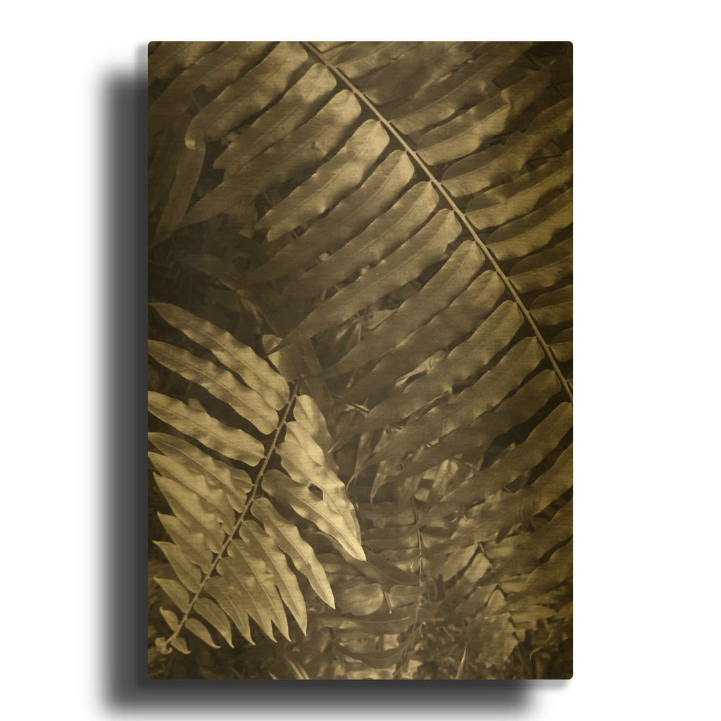 'Fern I' By Debra Van Swearingen Gold Metal Wall Art