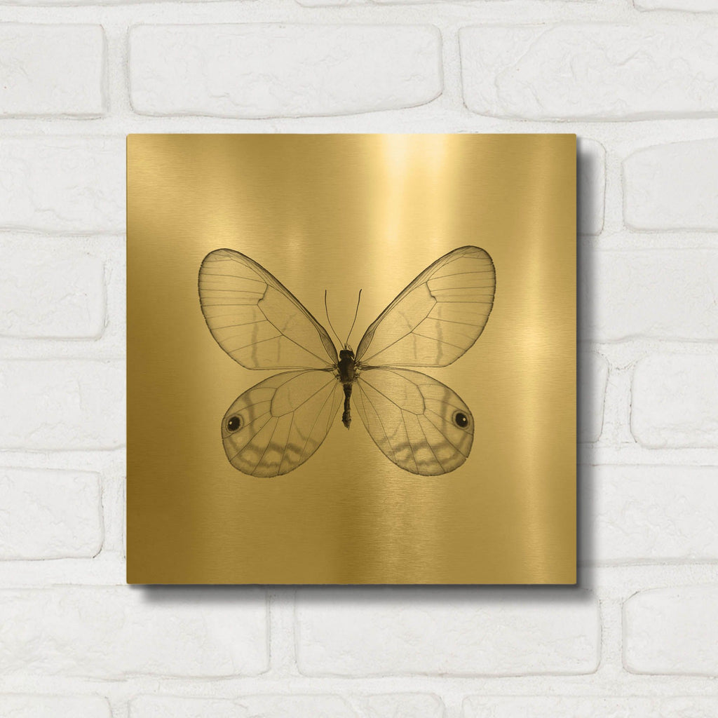 'Butterfly I B&W' By Debra Van Swearingen Gold Metal Wall Art