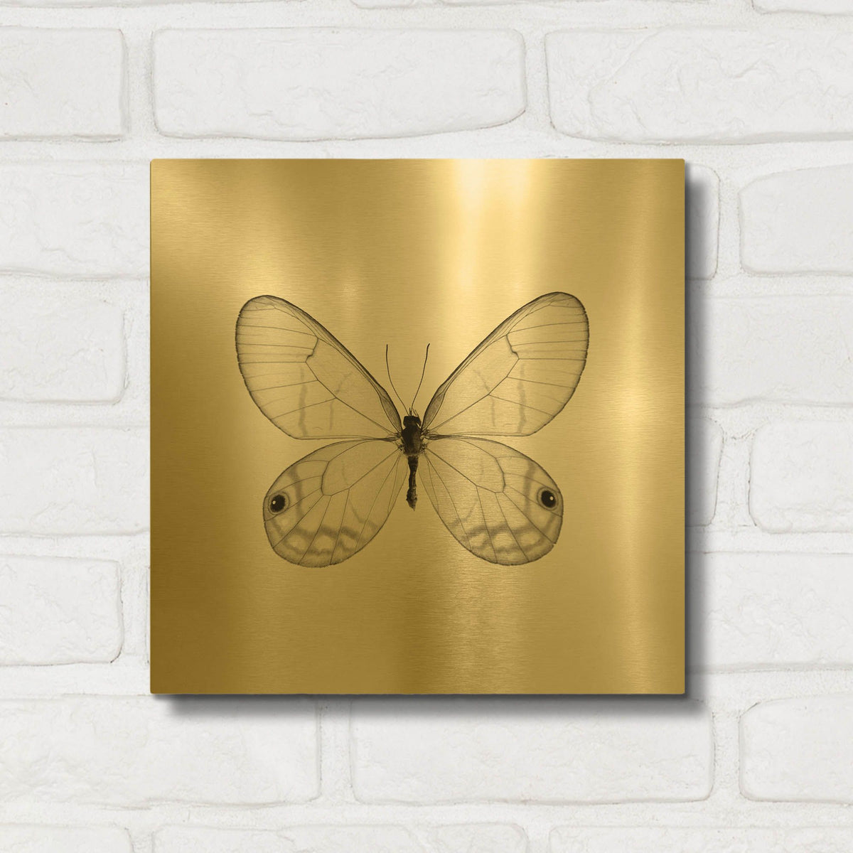 'Butterfly I B&W' By Debra Van Swearingen Gold Metal Wall Art