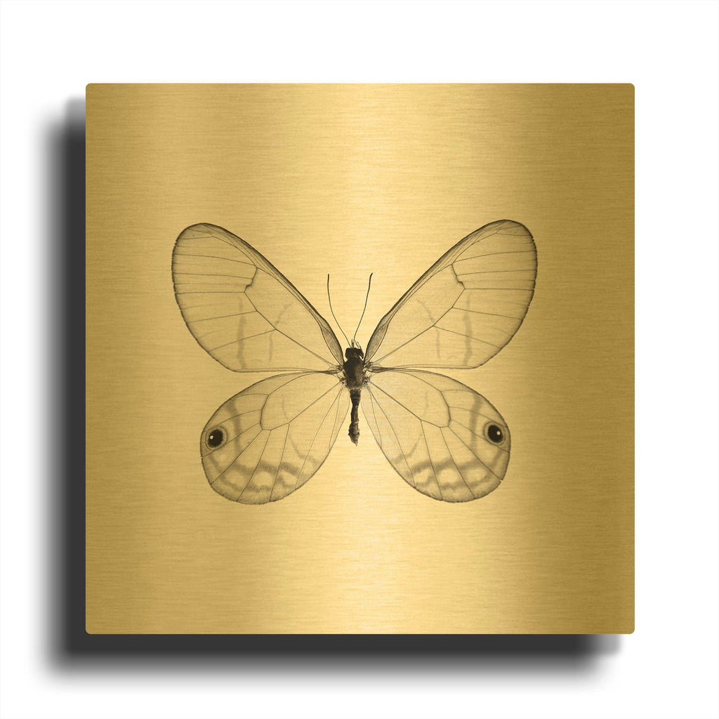 'Butterfly I B&W' By Debra Van Swearingen Gold Metal Wall Art