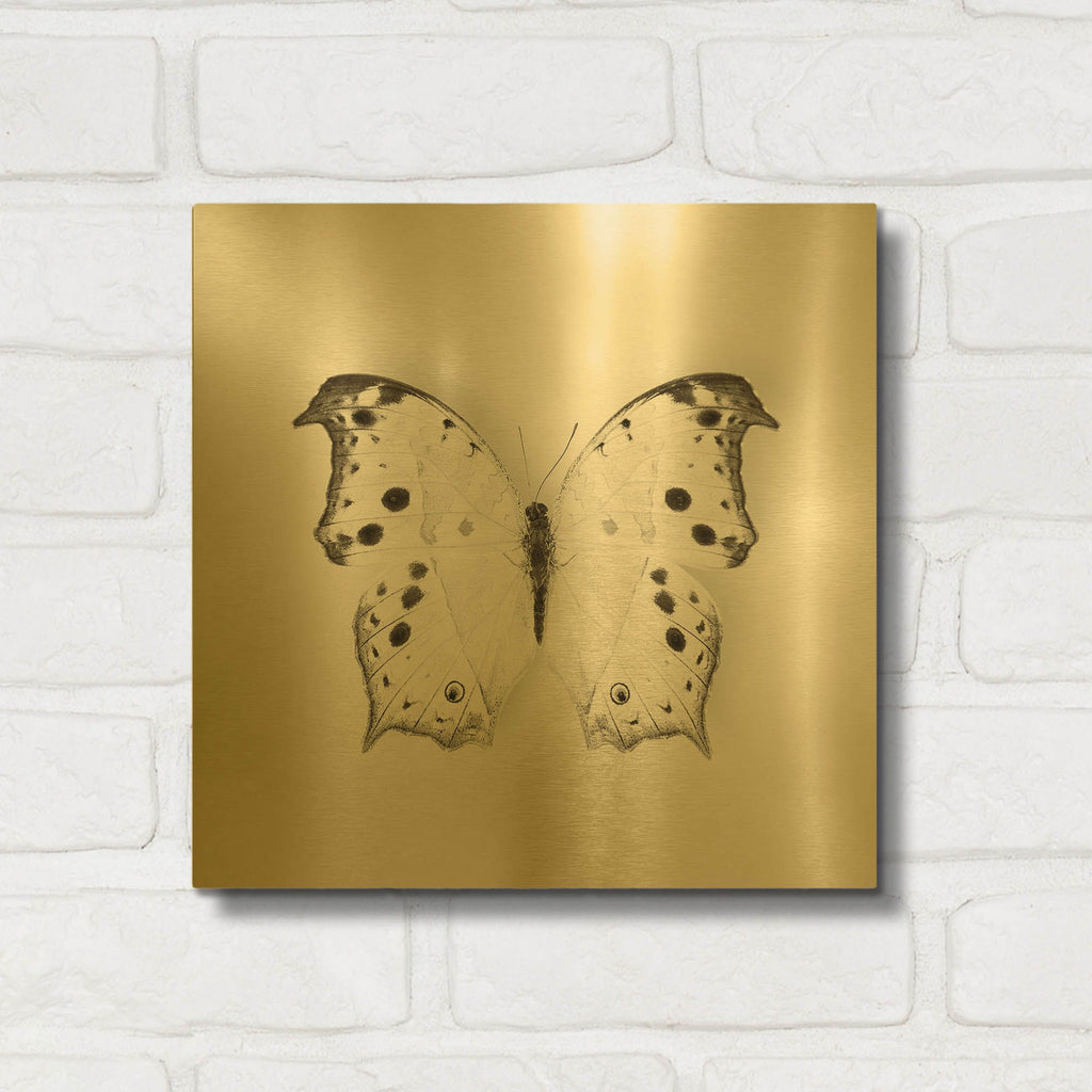 'Butterfly IV B&W' By Debra Van Swearingen Gold Metal Wall Art