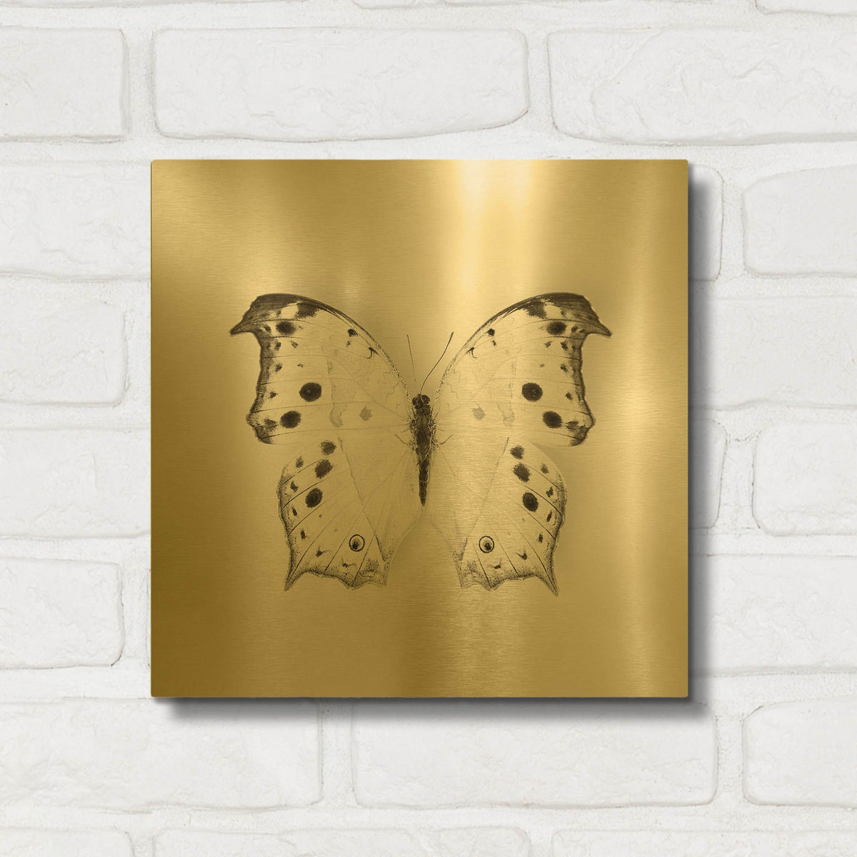 'Butterfly IV B&W' By Debra Van Swearingen Gold Metal Wall Art