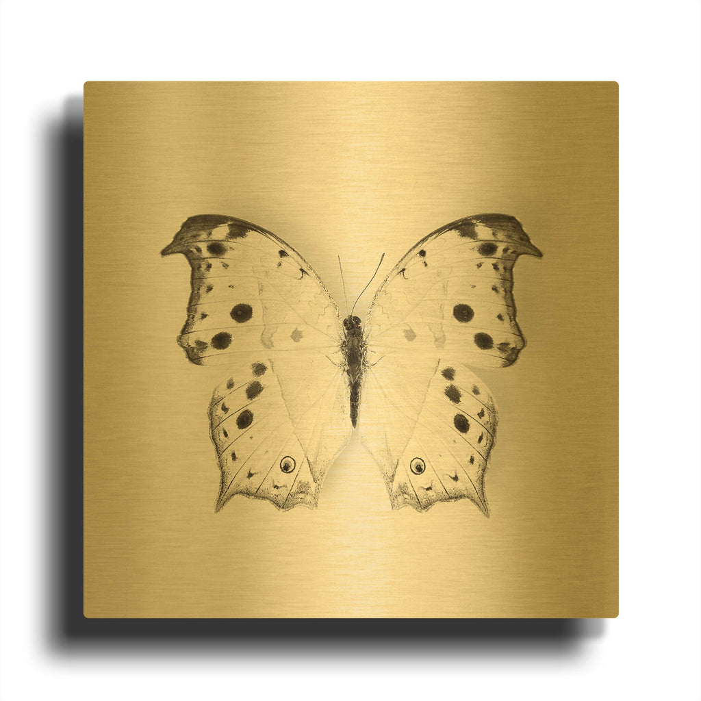 'Butterfly IV B&W' By Debra Van Swearingen Gold Metal Wall Art