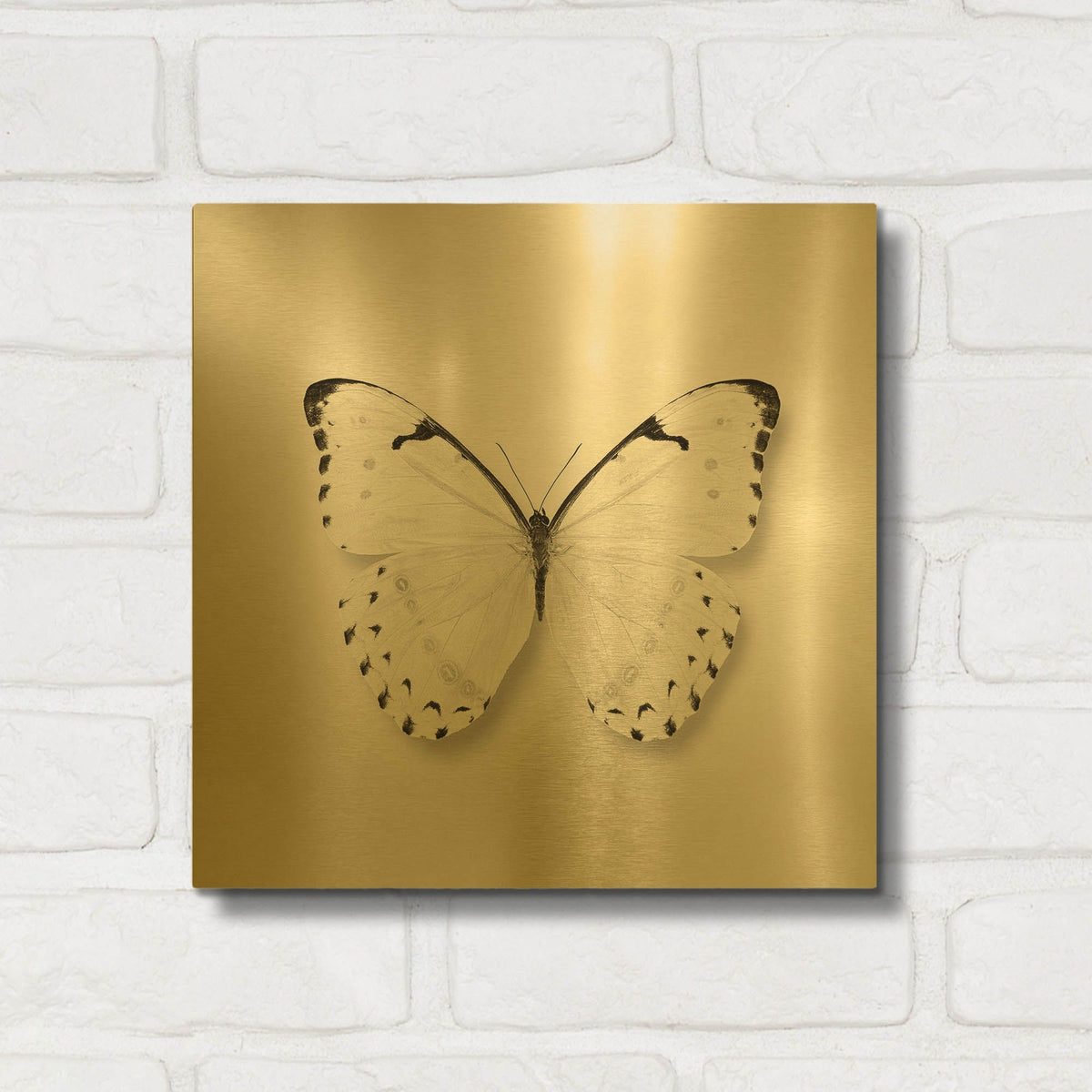 'Butterfly II B&W' By Debra Van Swearingen Gold Metal Wall Art
