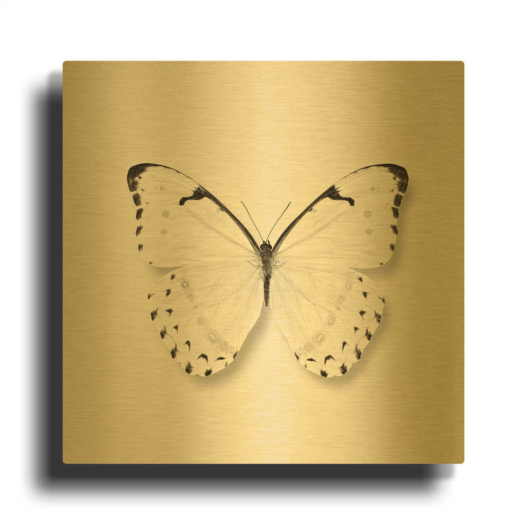 'Butterfly II B&W' By Debra Van Swearingen Gold Metal Wall Art