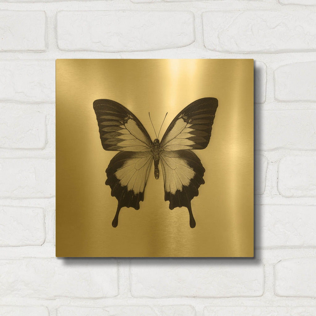 'Butterfly III B&W' By Debra Van Swearingen Gold Metal Wall Art