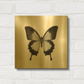 'Butterfly III B&W' By Debra Van Swearingen Gold Metal Wall Art