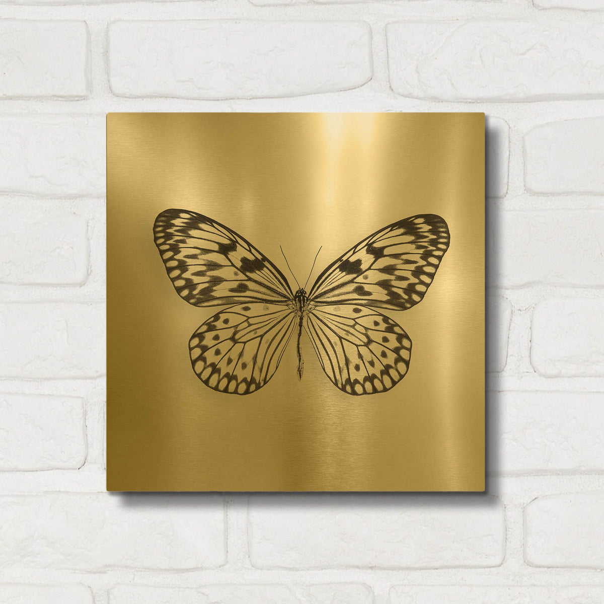 'Butterfly V B&W' By Debra Van Swearingen Gold Metal Wall Art