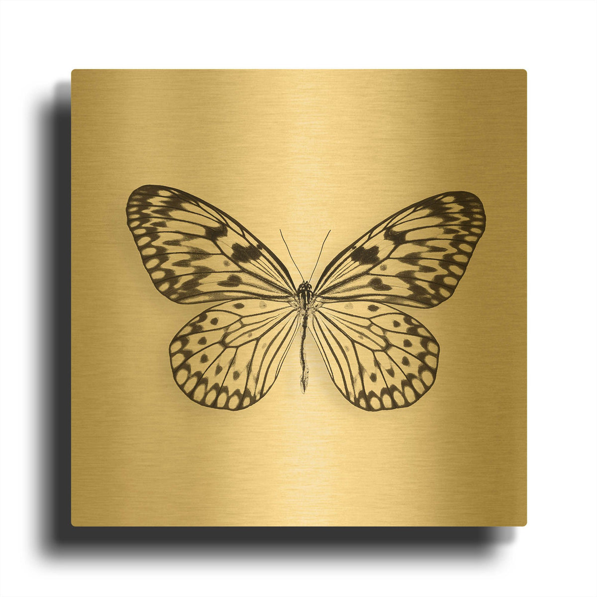 'Butterfly V B&W' By Debra Van Swearingen Gold Metal Wall Art