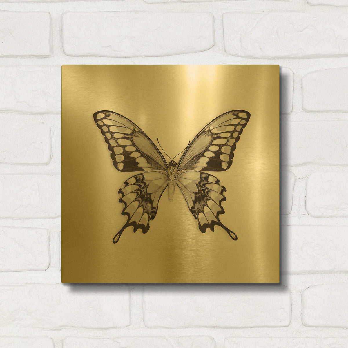 'Butterfly VI B&W' By Debra Van Swearingen Gold Metal Wall Art