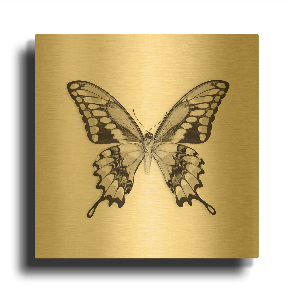'Butterfly VI B&W' By Debra Van Swearingen Gold Metal Wall Art