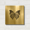 'Butterfly VII B&W' By Debra Van Swearingen Gold Metal Wall Art