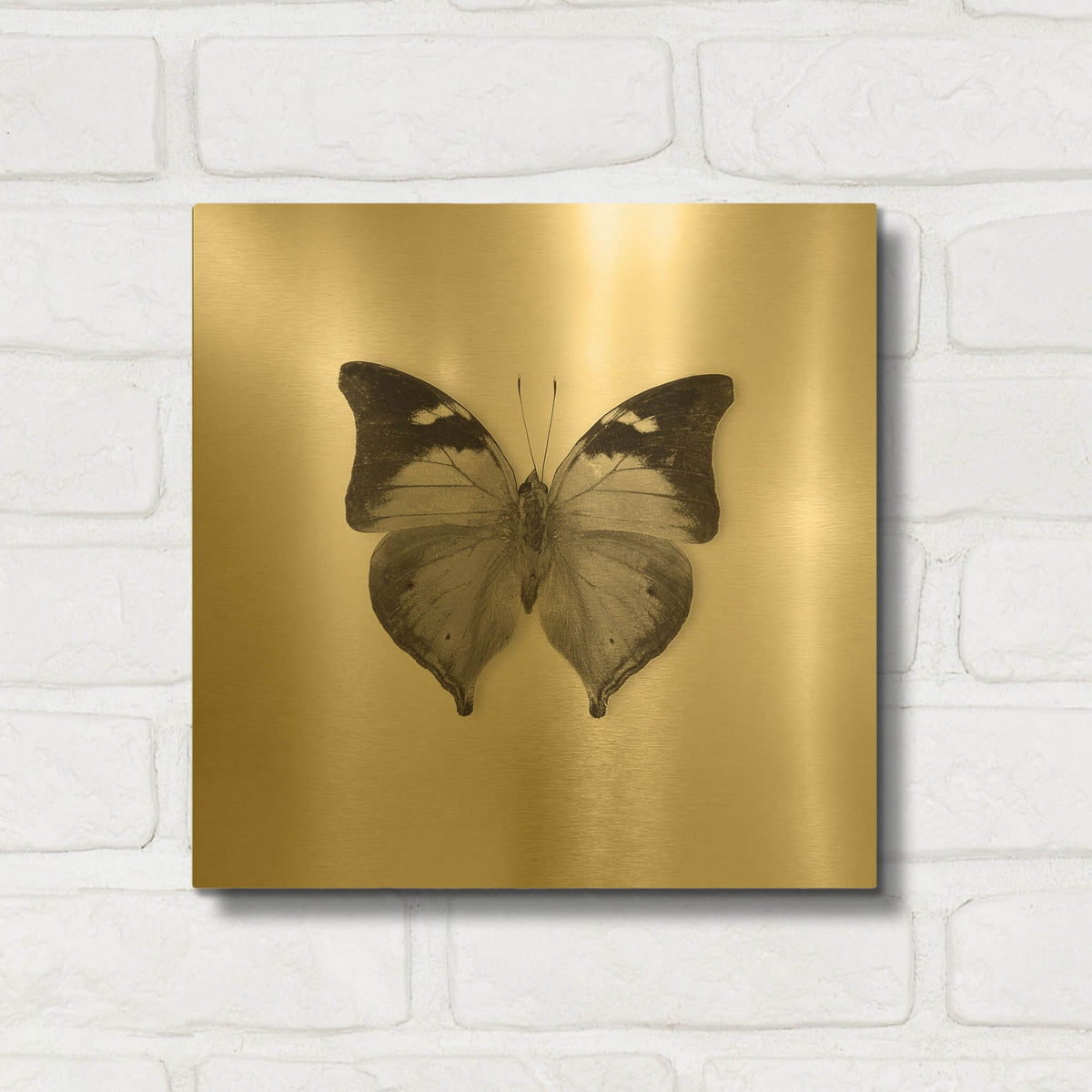 'Butterfly VII B&W' By Debra Van Swearingen Gold Metal Wall Art
