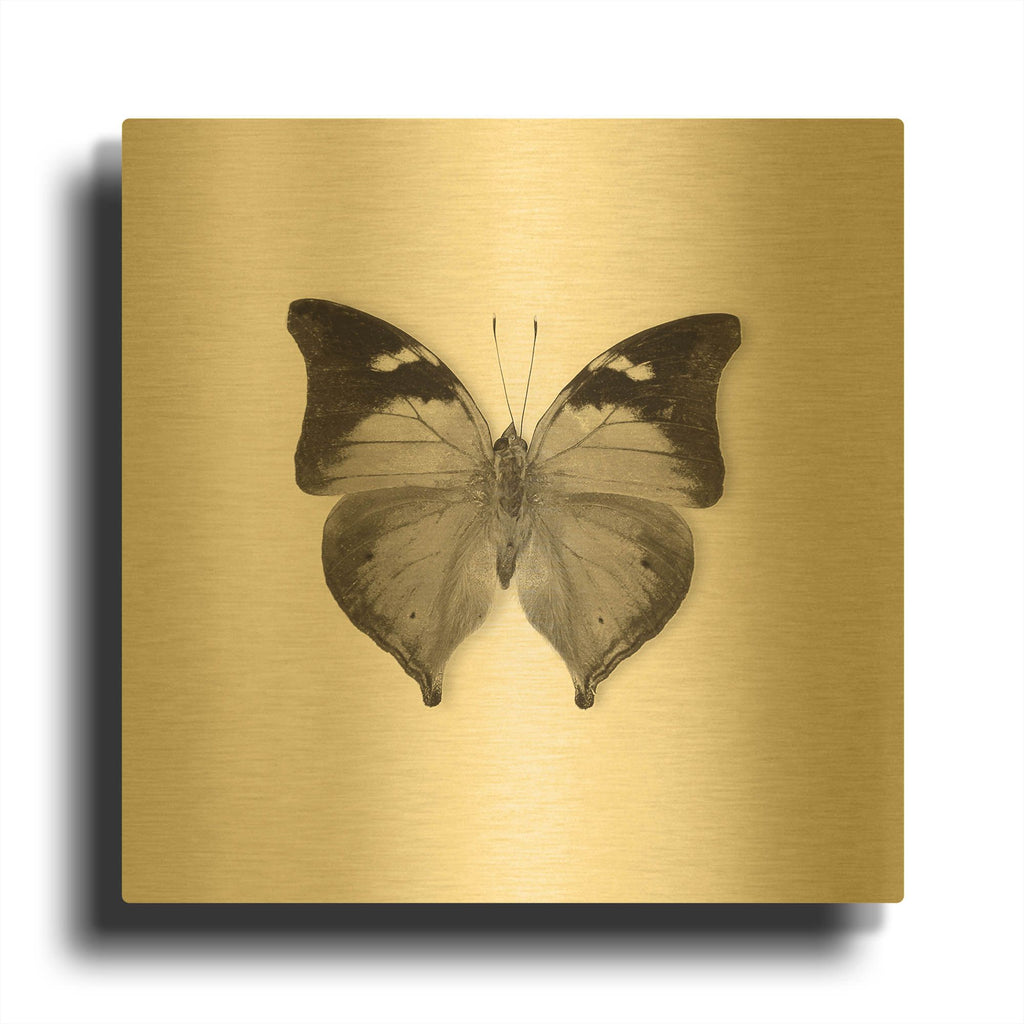 'Butterfly VII B&W' By Debra Van Swearingen Gold Metal Wall Art