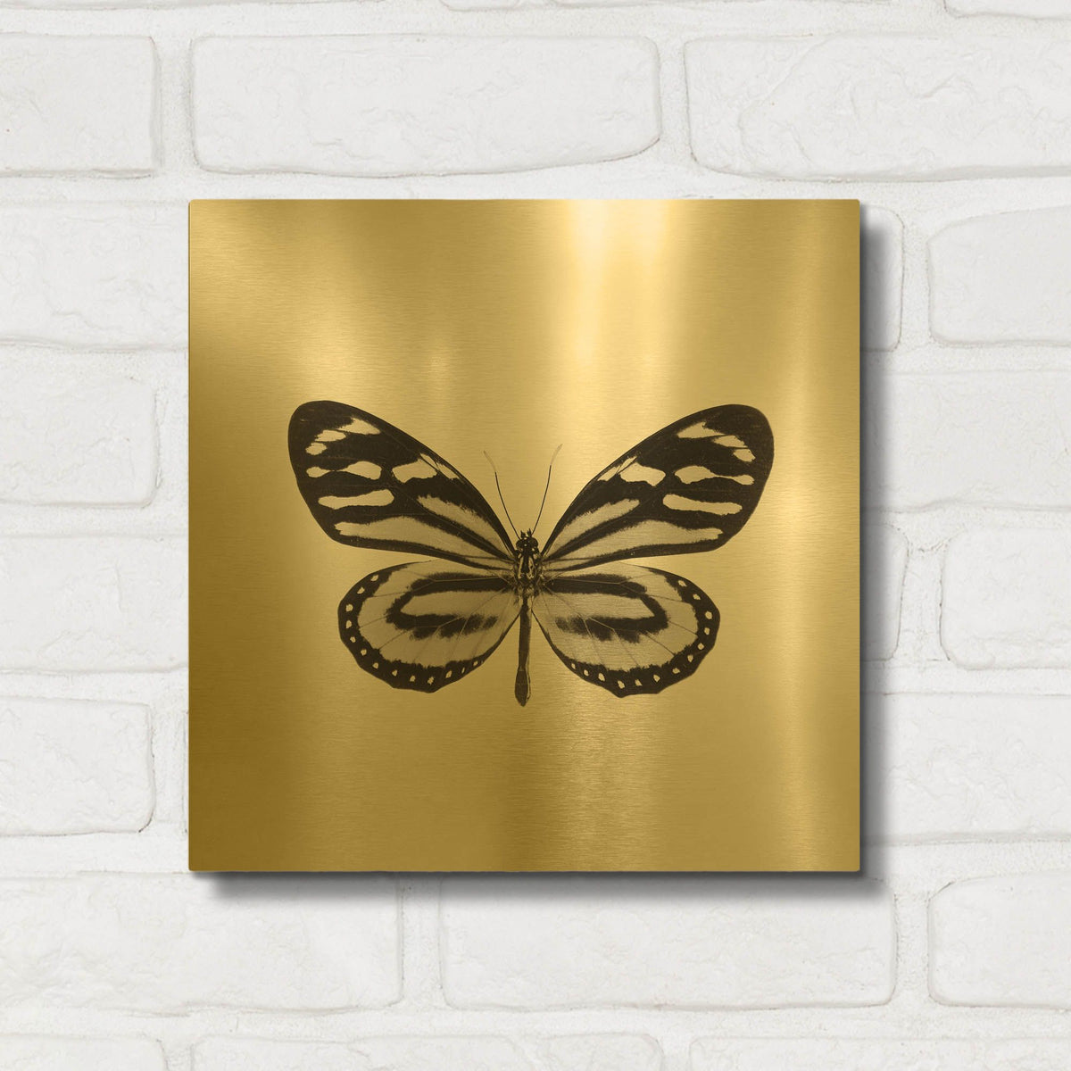 'Butterfly VIII B&W' By Debra Van Swearingen Gold Metal Wall Art