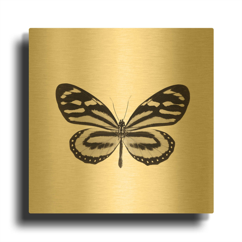 'Butterfly VIII B&W' By Debra Van Swearingen Gold Metal Wall Art