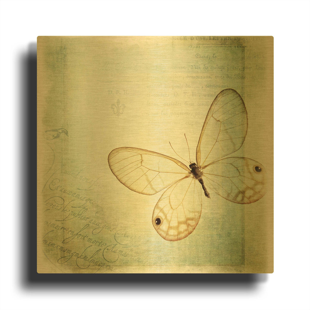 'Floating Butterfly I' By Debra Van Swearingen Gold Metal Wall Art