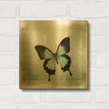 'Floating Butterfly III' By Debra Van Swearingen Gold Metal Wall Art