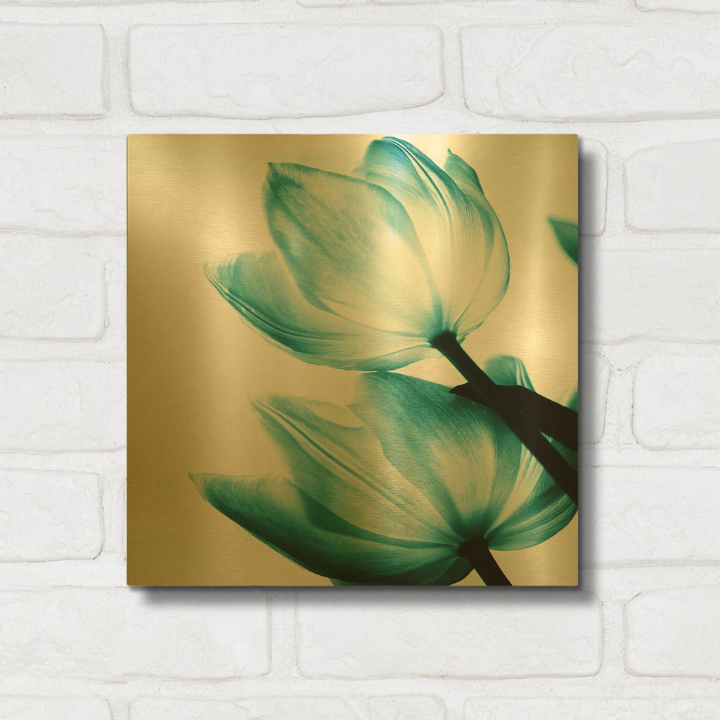 'Translucent Tulips II Teal' By Debra Van Swearingen Gold Metal Wall Art