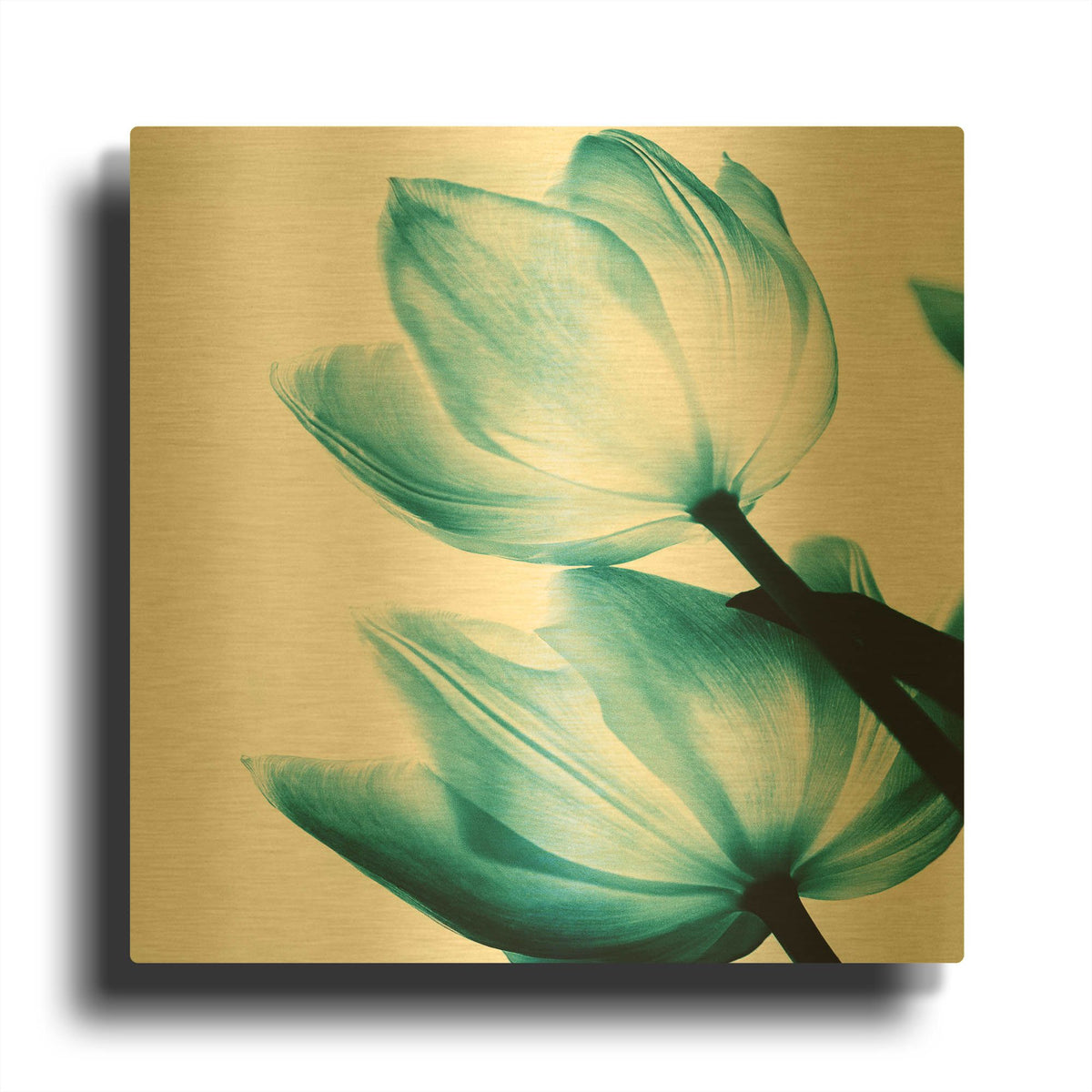 'Translucent Tulips II Teal' By Debra Van Swearingen Gold Metal Wall Art