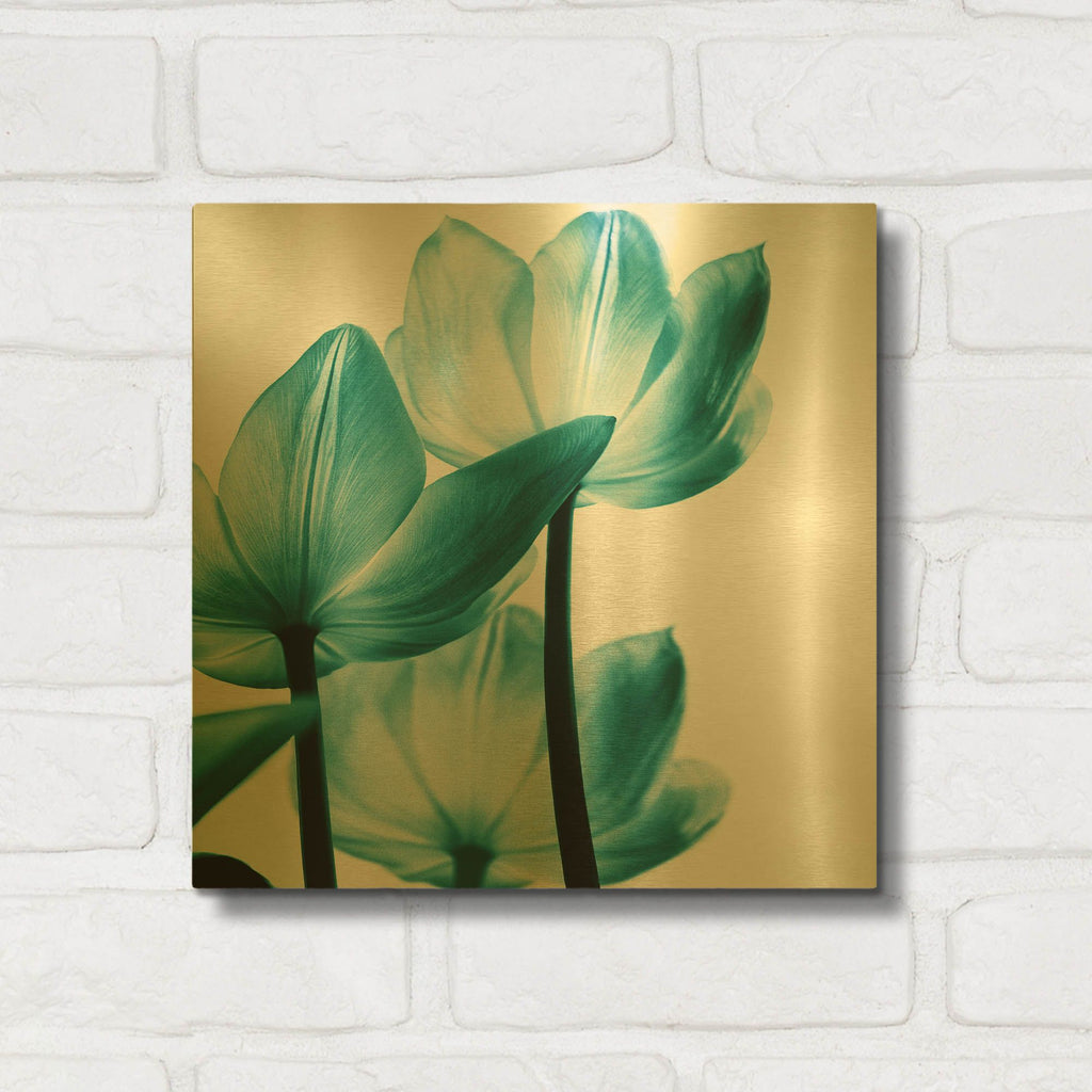 'Translucent Tulips III Teal' By Debra Van Swearingen Gold Metal Wall Art