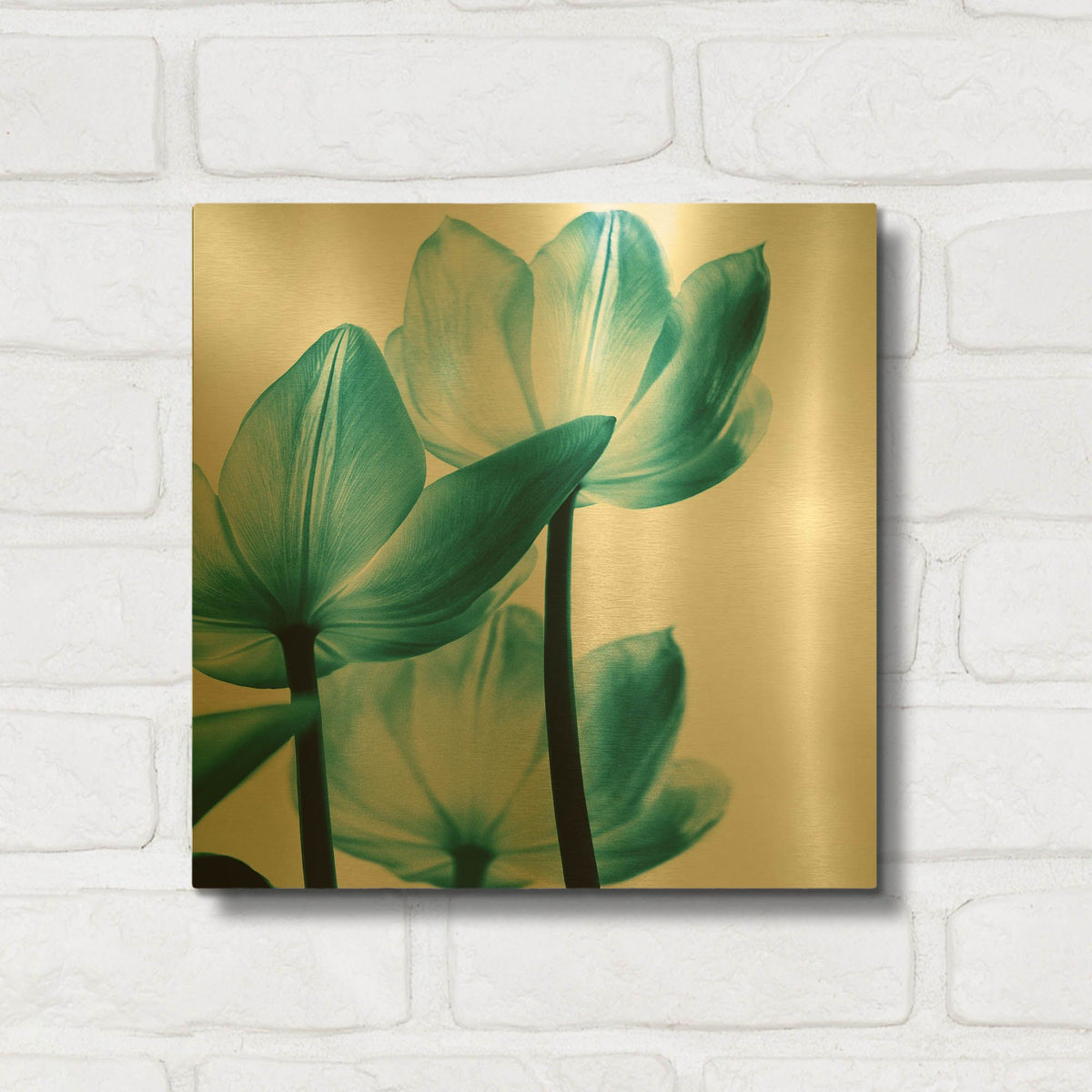 'Translucent Tulips III Teal' By Debra Van Swearingen Gold Metal Wall Art
