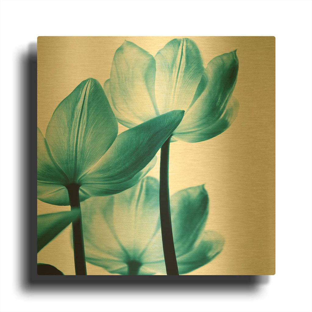 'Translucent Tulips III Teal' By Debra Van Swearingen Gold Metal Wall Art