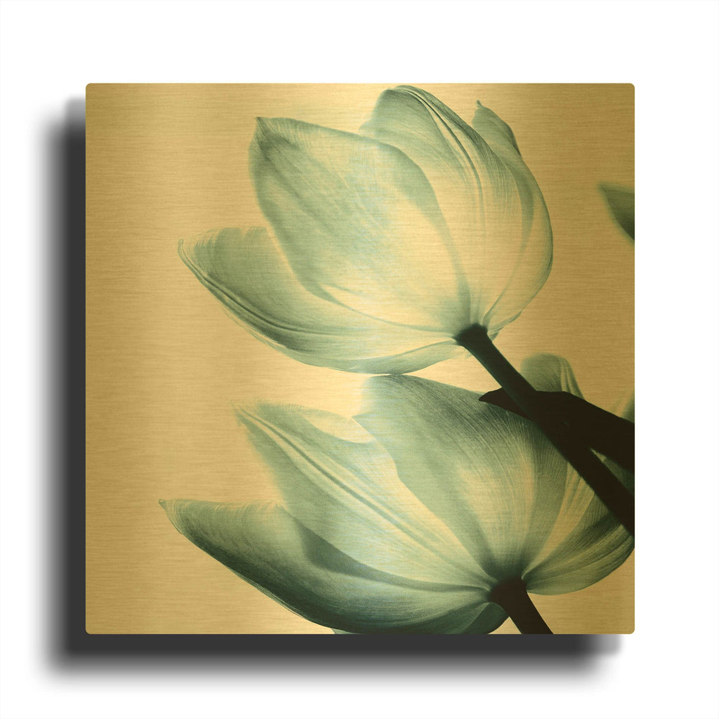 'Translucent Tulips II Aqua' By Debra Van Swearingen Gold Metal Wall Art