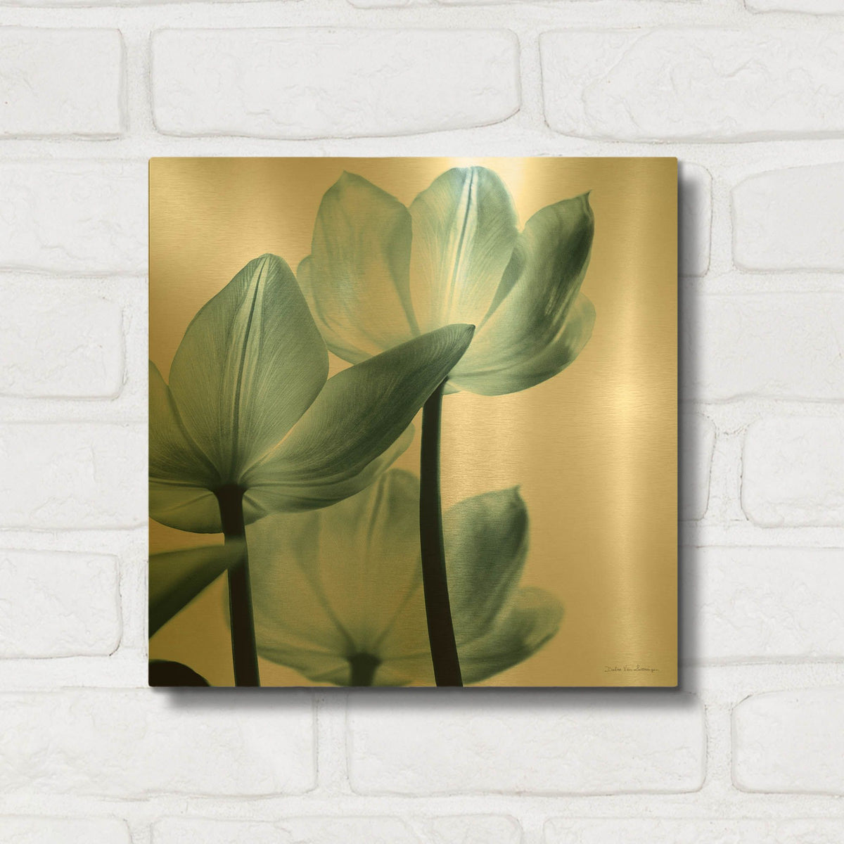 'Translucent Tulips III Aqua' By Debra Van Swearingen Gold Metal Wall Art