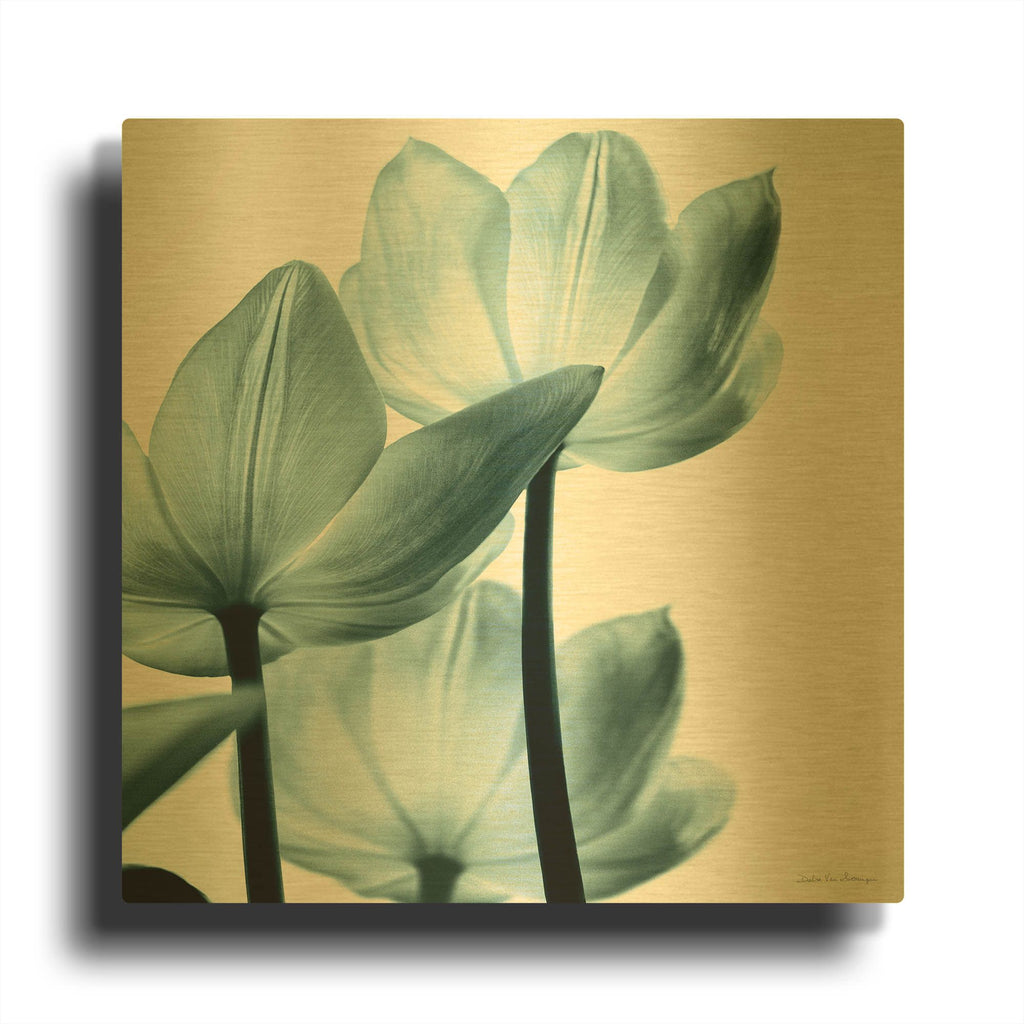 'Translucent Tulips III Aqua' By Debra Van Swearingen Gold Metal Wall Art