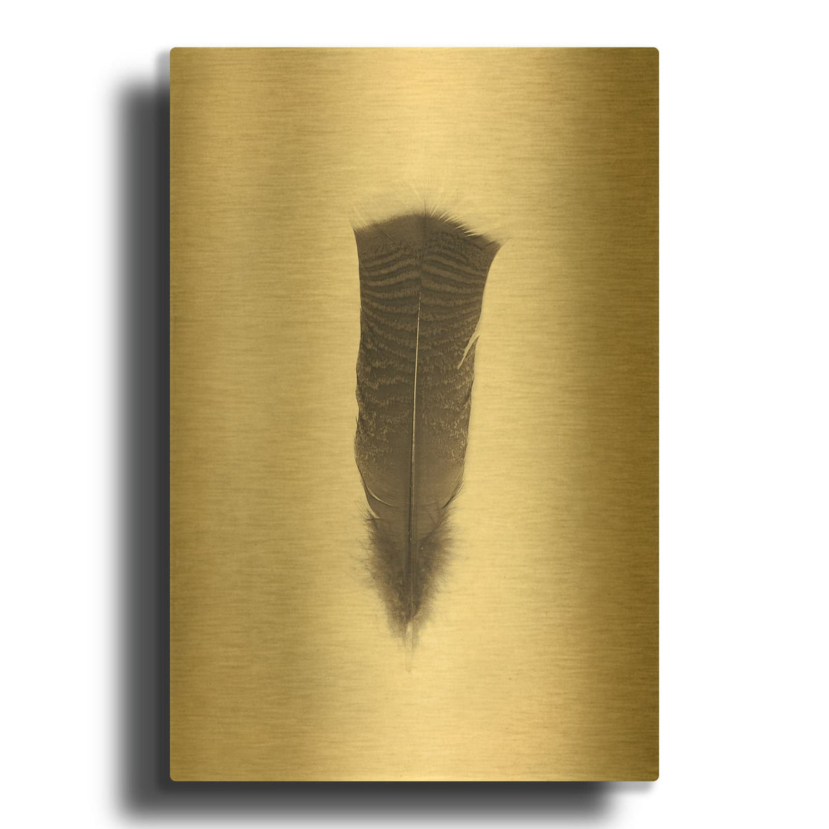 'Feather III Vintage' By Debra Van Swearingen Gold Metal Wall Art