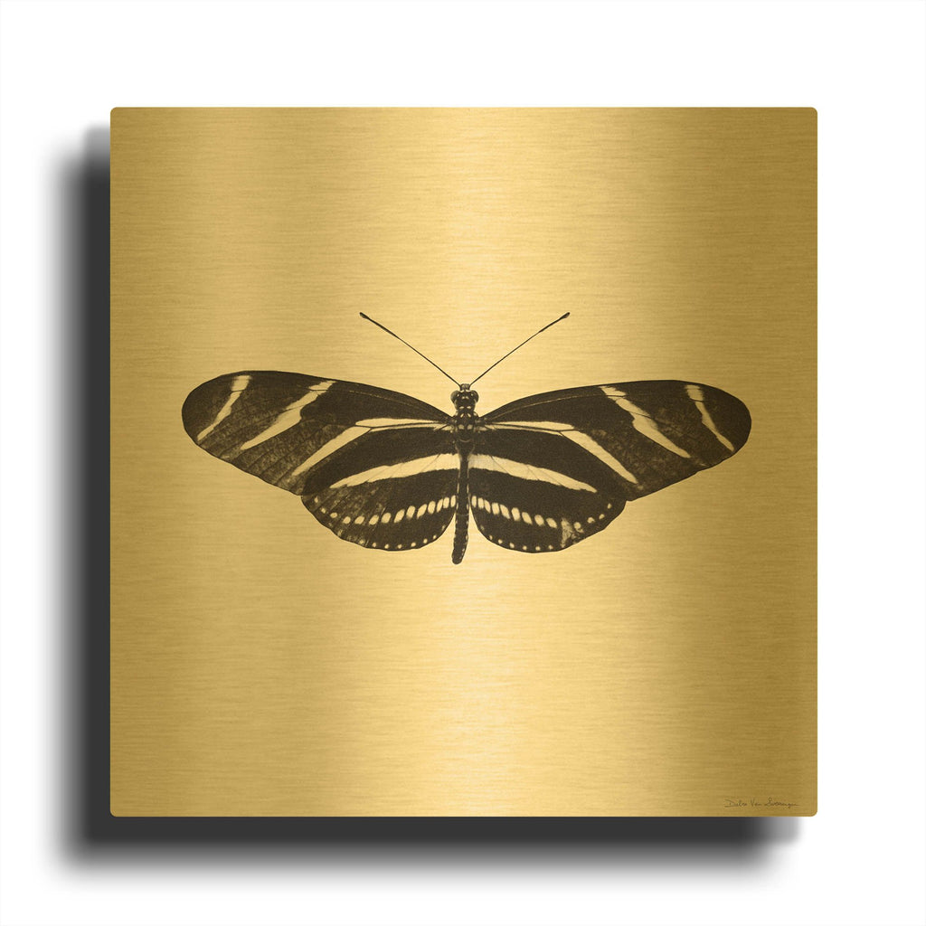 'Butterfly IX B&W' By Debra Van Swearingen Gold Metal Wall Art