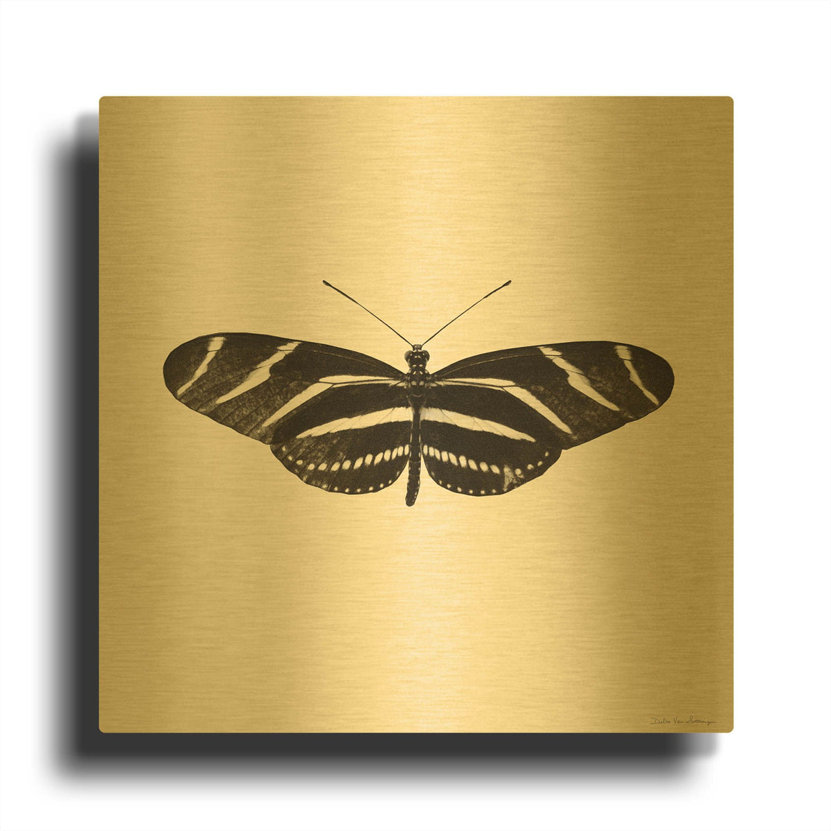 'Butterfly IX B&W' By Debra Van Swearingen Gold Metal Wall Art