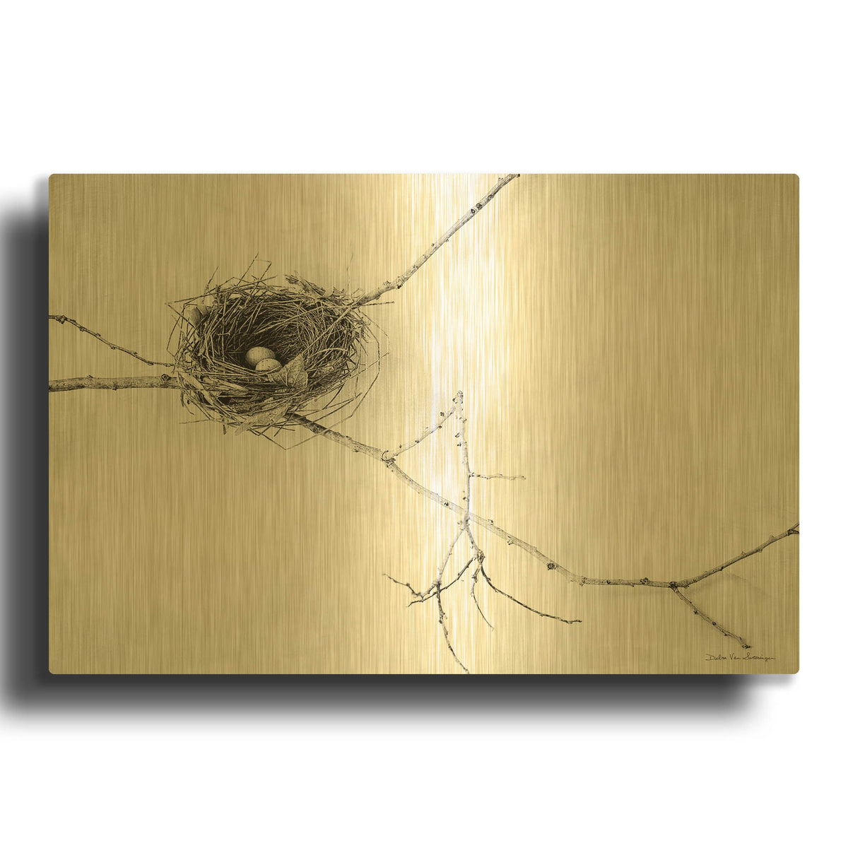 'Nest and Branch I' By Debra Van Swearingen Gold Metal Wall Art
