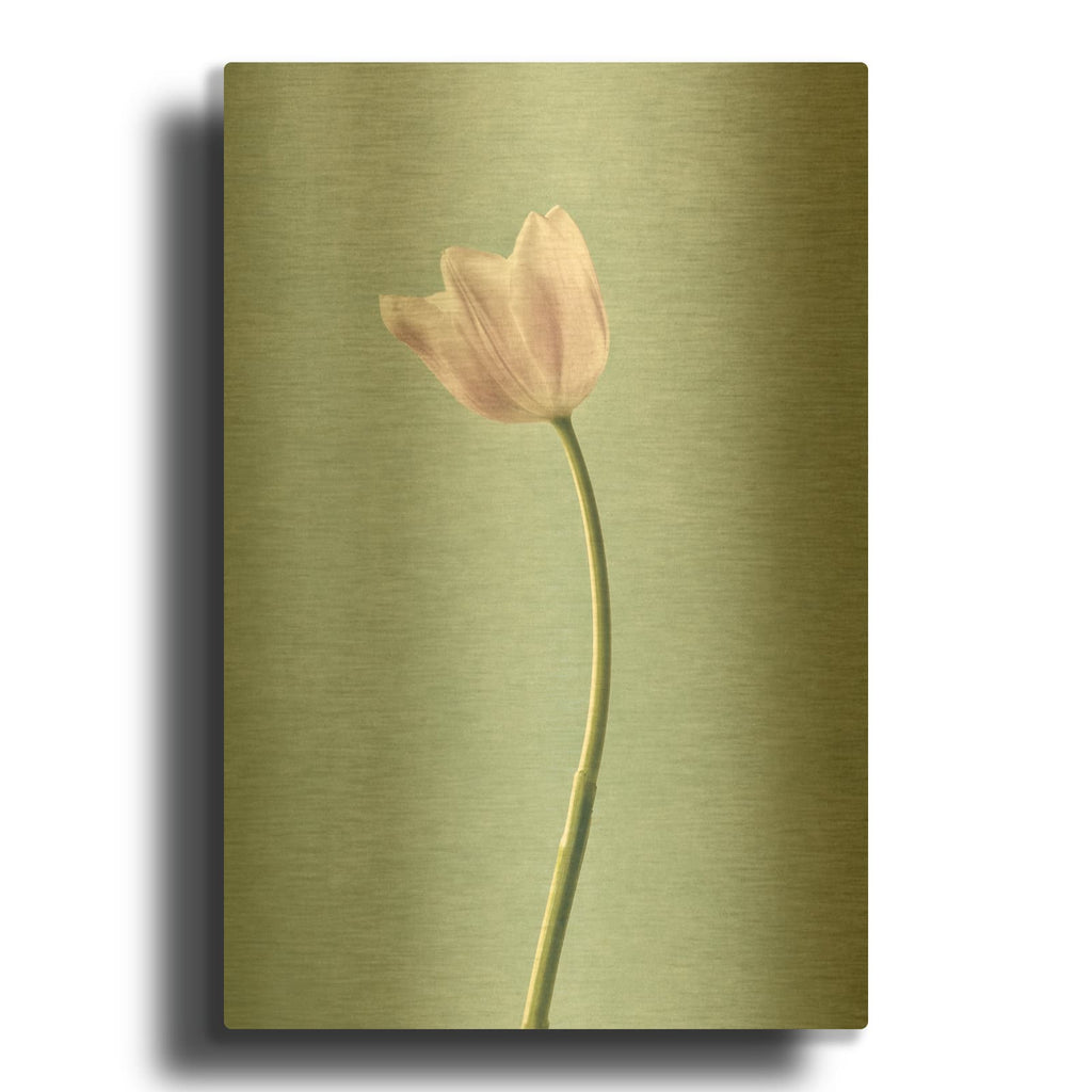 'Light Tulips I Harbor Gray' By Debra Van Swearingen Gold Metal Wall Art