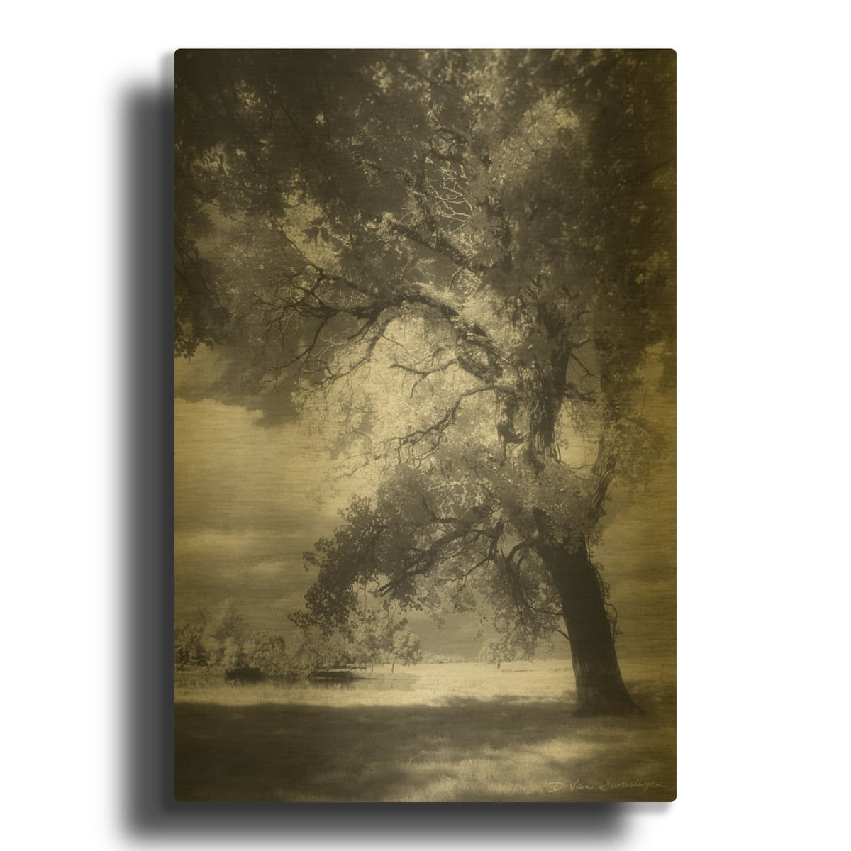 'Dreamscape' By Debra Van Swearingen Gold Metal Wall Art