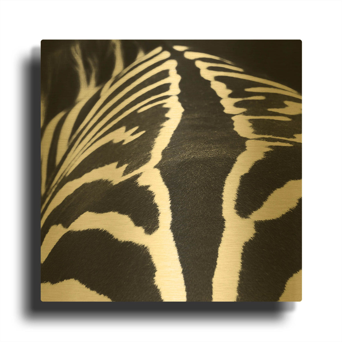 'Zebra V' By Debra Van Swearingen Gold Metal Wall Art