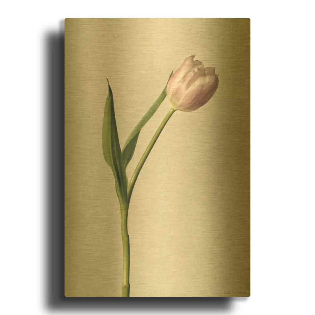 'Light Tulips II' By Debra Van Swearingen Gold Metal Wall Art