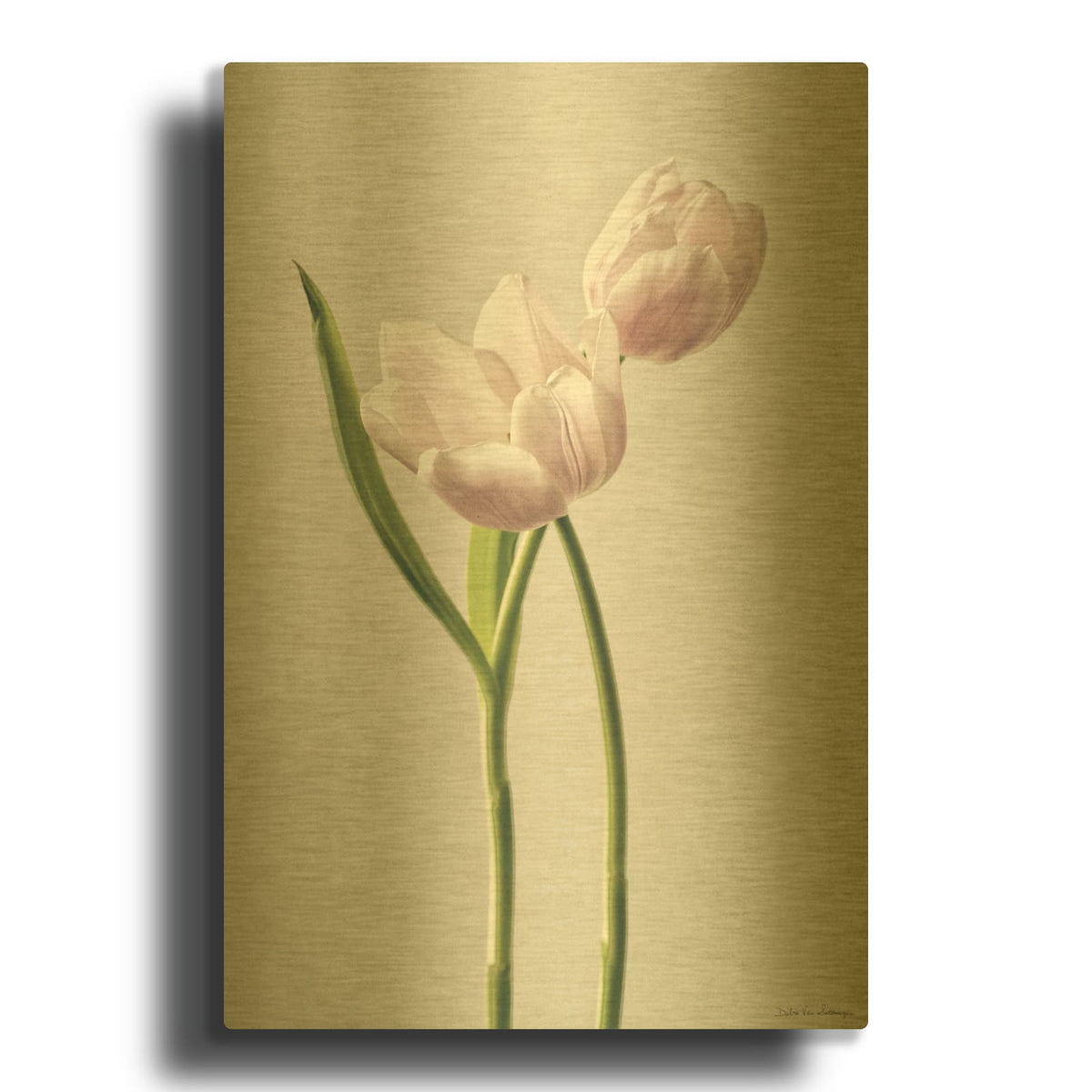 'Light Tulips III' By Debra Van Swearingen Gold Metal Wall Art