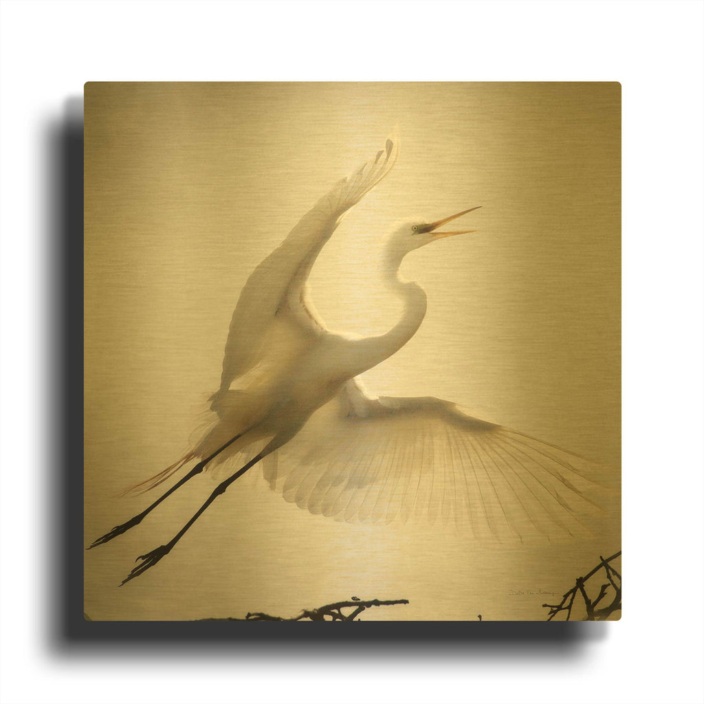 'Emergence' By Debra Van Swearingen Gold Metal Wall Art