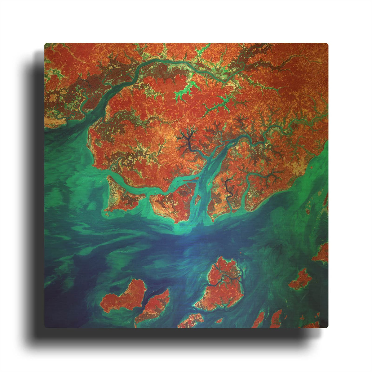 'Earth as Art Guinea-Bissau' By NASA Earth As Art Gold Metal Wall Art