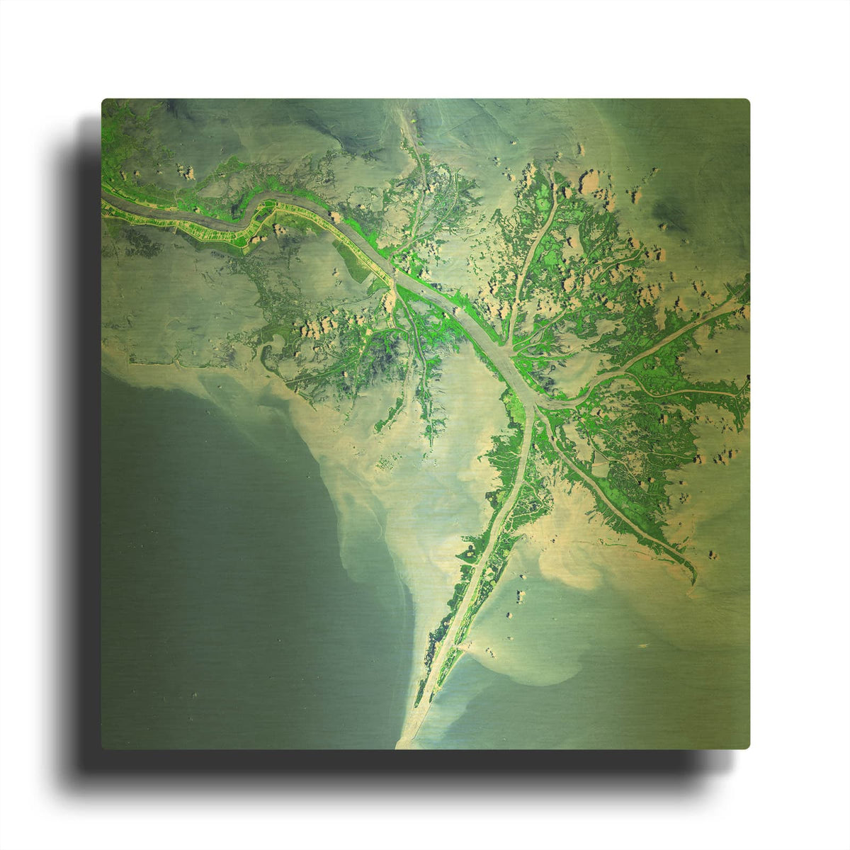 'Earth as Art Mississippi River Delta' By NASA Earth As Art Gold Metal Wall Art